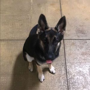 Meet your Posher, Tony